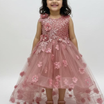 Girls Floral Net Party Wear Frock